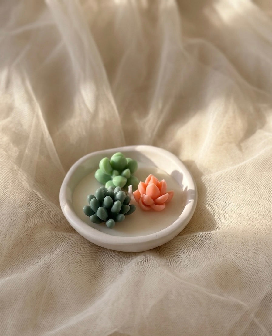Bougie Succulente en Jesmonite – Cadeau Invité Personnalisé Mariage & Événements