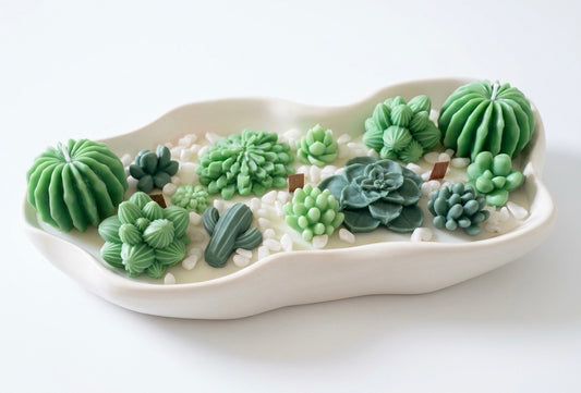 Bougies Succulentes Sculptées – Cire de Soja | Plateau Jesmonite Artisanal | Décor Naturel