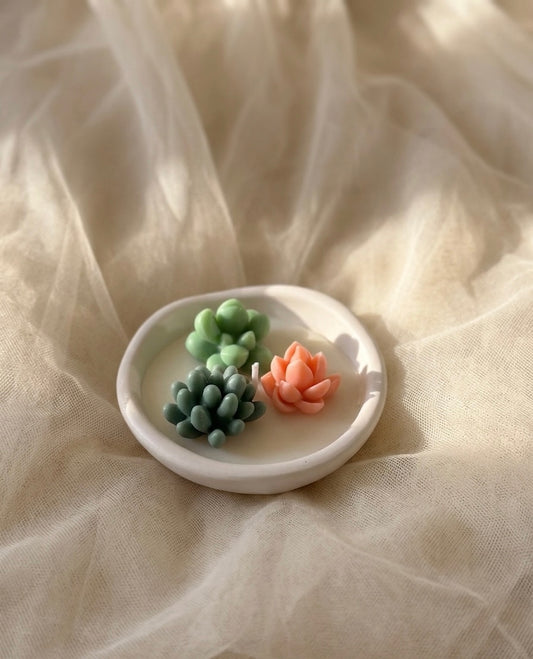 Bougie Succulente en Jesmonite – Cadeau Invité Personnalisé Mariage & Événements