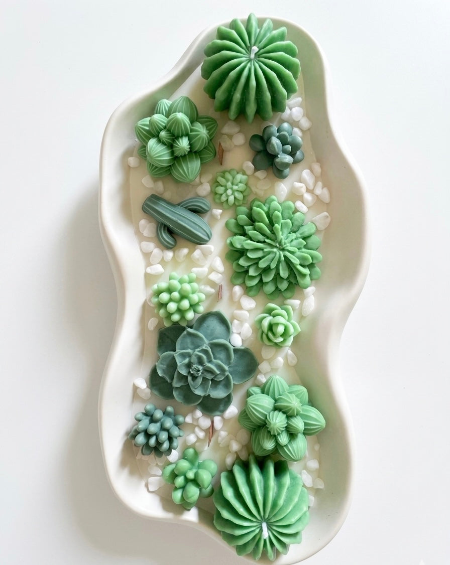 Bougies Succulentes Sculptées – Cire de Soja | Plateau Jesmonite Artisanal | Décor Naturel